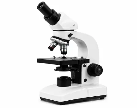 Research & Development Facilities  